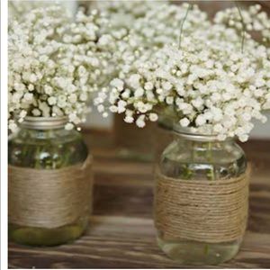 Meet your Posher, Lili